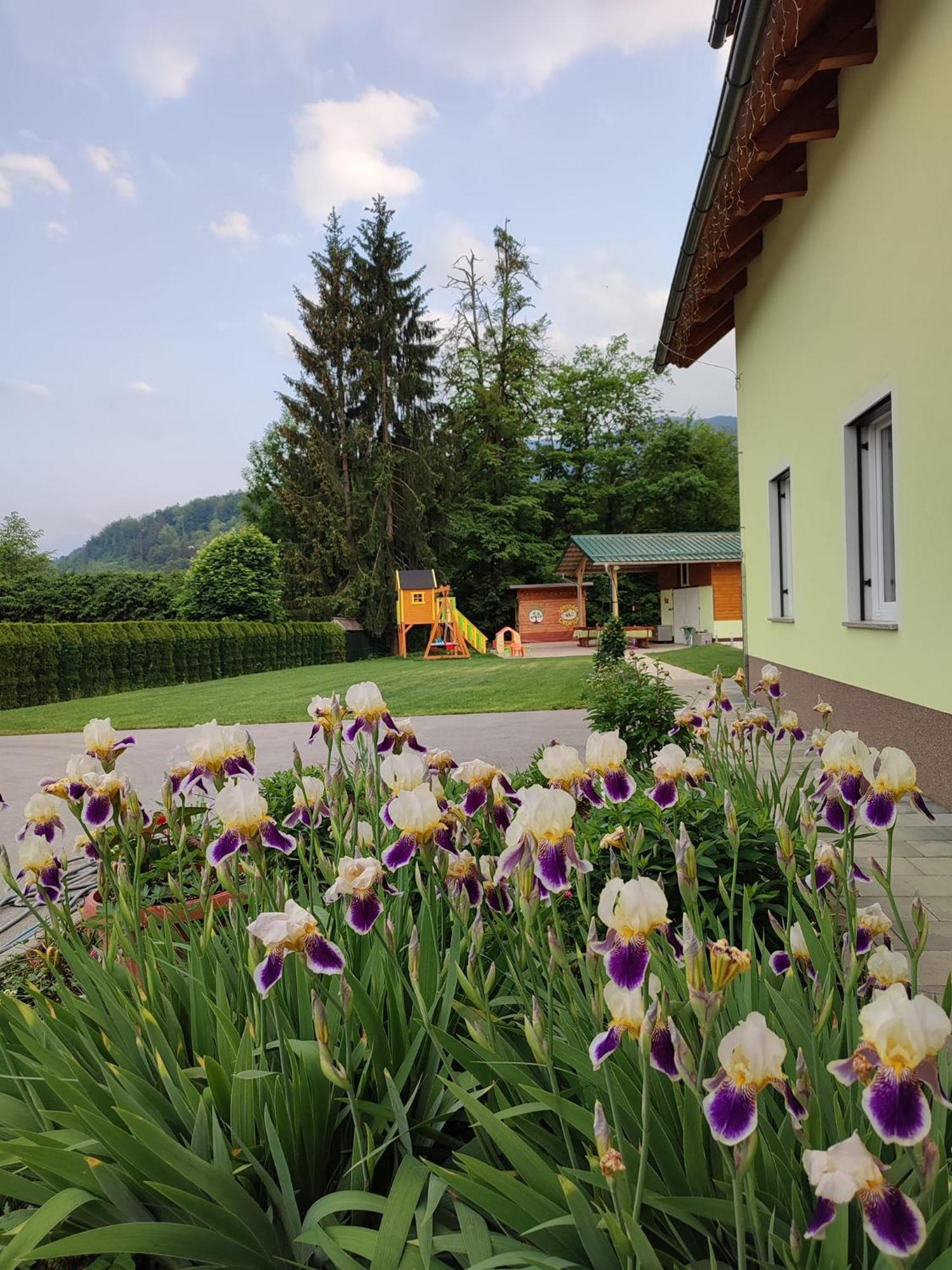 Apartments And Wellness Jelovca Radovljica Luaran gambar