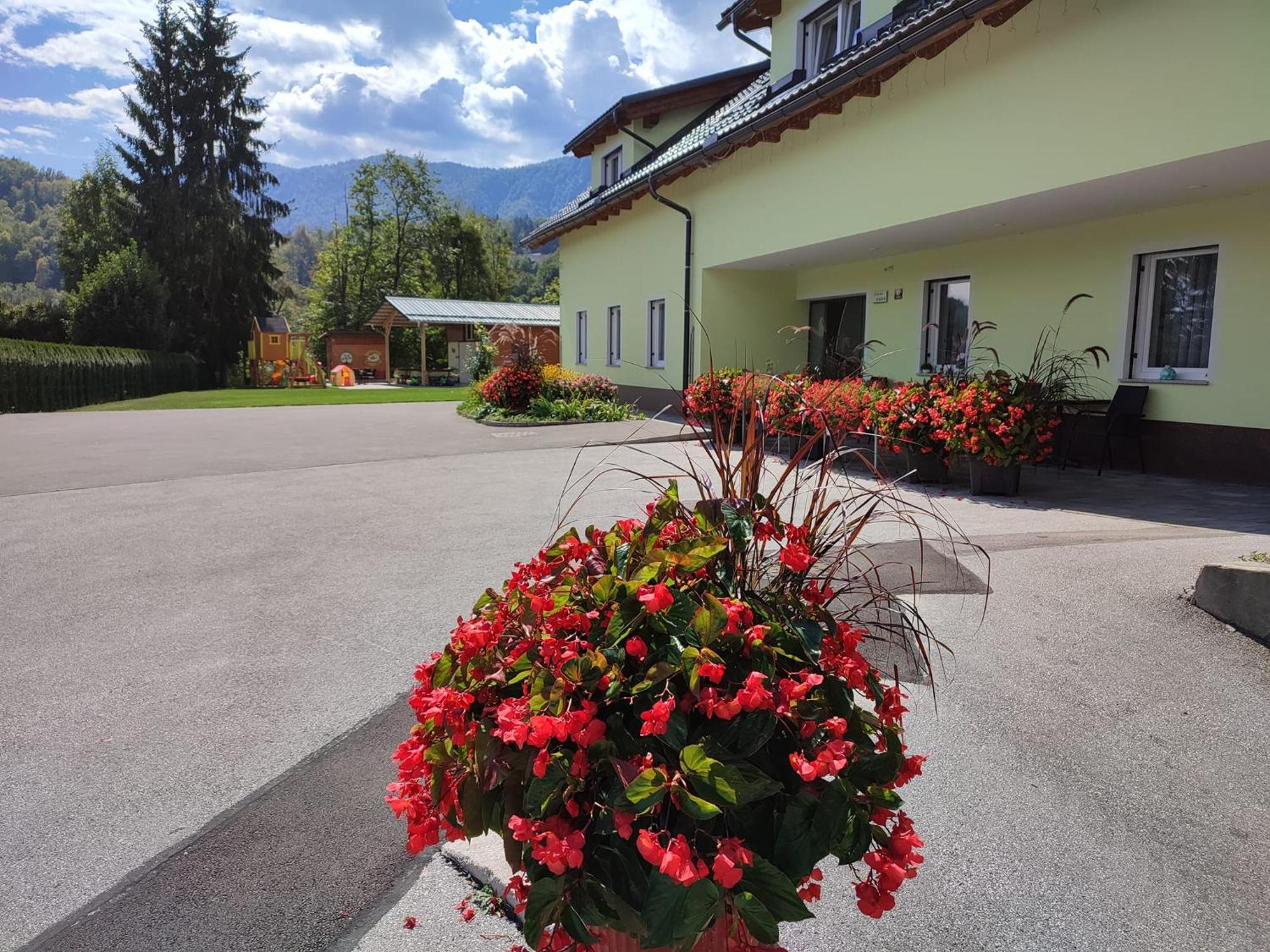 Apartments And Wellness Jelovca Radovljica Luaran gambar